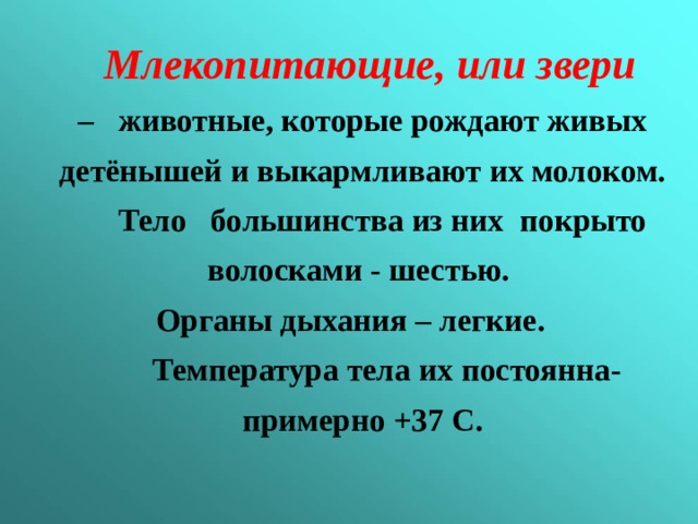  Млекопитающие, или звери – животные, которые рождают живых детёнышей и выкармливают их молоком.  Тело большинства из них покрыто волосками - шестью. Органы дыхания – легкие.  Температура тела их постоянна- примерно +37 С.  