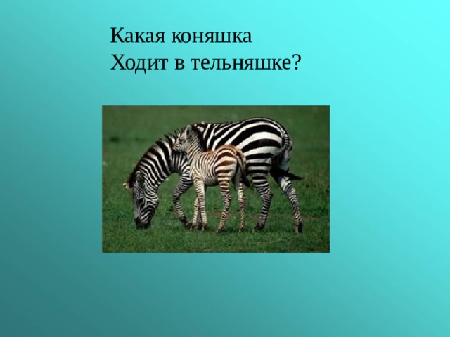 Какая коняшка Ходит в тельняшке? 
