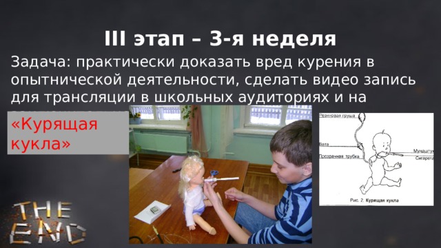 III этап – 3-я неделя Задача: практически доказать вред курения в опытнической деятельности, сделать видео запись для трансляции в школьных аудиториях и на заключительном концерте (7 класс) «Курящая кукла» 