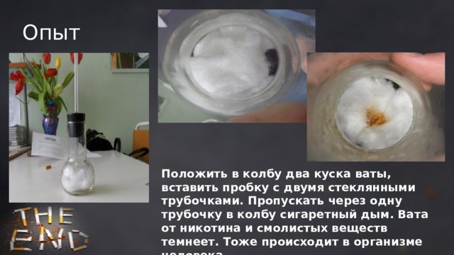 Положить в колбу два куска ваты, вставить пробку с двумя стеклянными трубочками. Пропускать через одну трубочку в колбу сигаретный дым. Вата от никотина и смолистых веществ темнеет. Тоже происходит в организме человека. Опыт 