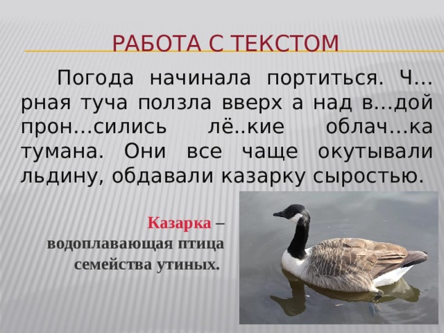 Работа с текстом  Погода начинала портиться. Ч…рная туча ползла вверх а над в…дой прон…сились лё..кие облач…ка тумана. Они все чаще окутывали льдину, обдавали казарку сыростью. Казарка – водоплавающая птица семейства утиных.  