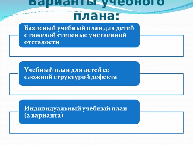 Варианты учебного плана: 