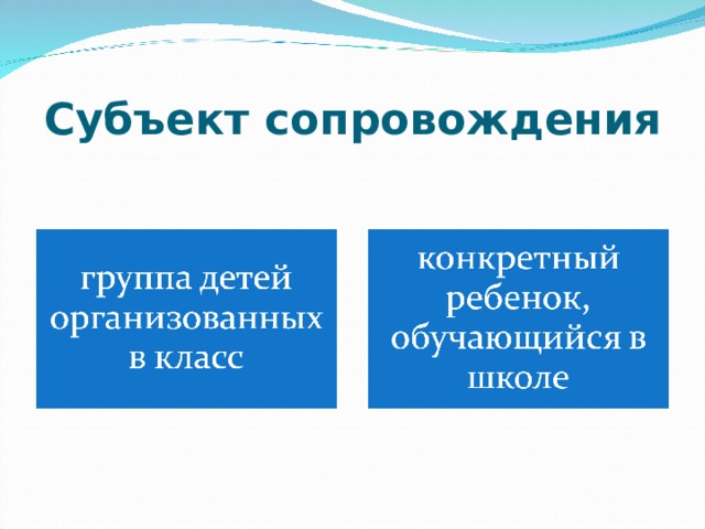 Субъект сопровождения 