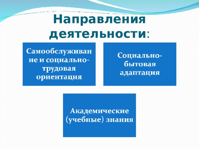 Направления деятельности : 