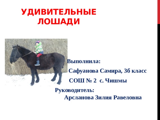 Удивительные лошади  Выполнила:  Сафуанова Самира, 3б класс  СОШ № 2 с. Чишмы  Руководитель: Арсланова Зилия Равеловна   