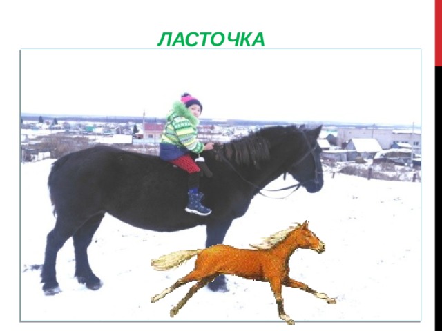    ЛАСТОЧКА  
