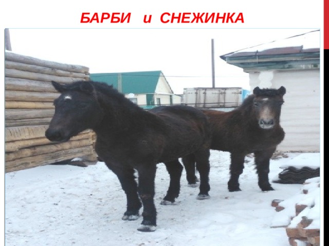 БАРБИ и СНЕЖИНКА   