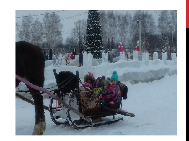  Лошади – это самые добрые и красивые животные 
