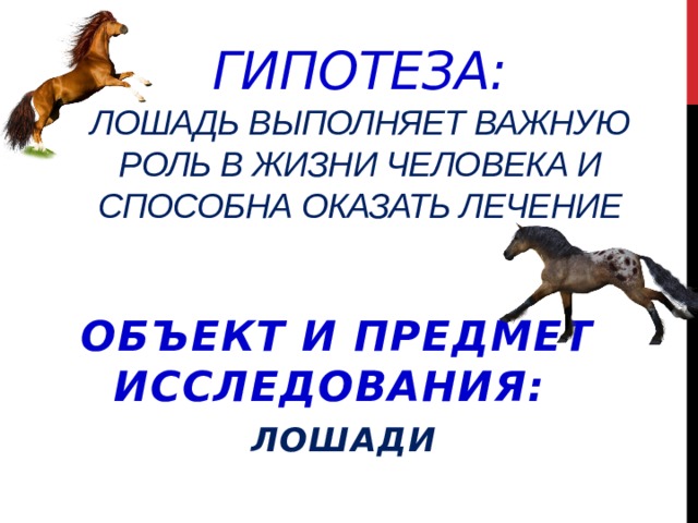 Гипотеза:  лошадь выполняет важную роль в жизни человека и способна оказать лечение Объект и предмет исследования:  лошади 