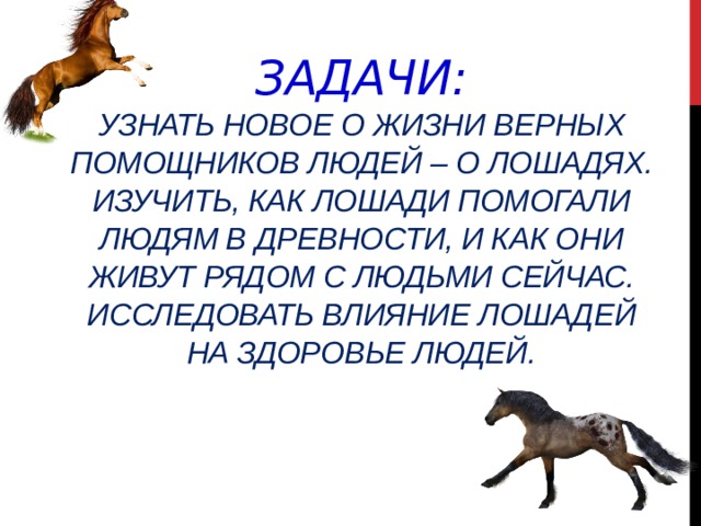 Задачи:  Узнать новое о жизни верных помощников людей – о лошадях.  Изучить, как лошади помогали людям в древности, и как они живут рядом с людьми сейчас.  Исследовать влияние лошадей на здоровье людей.   