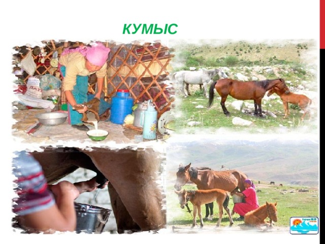   КУМЫС  