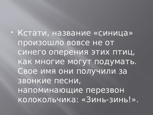 Кстати, название «синица» произошло вовсе не от синего оперения этих птиц, как многие могут подумать. Свое имя они получили за звонкие песни, напоминающие перезвон колокольчика: «Зинь-зинь!». 