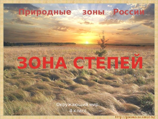Природные зоны России ЗОНА СТЕПЕЙ Окружающий мир. 4 класс 