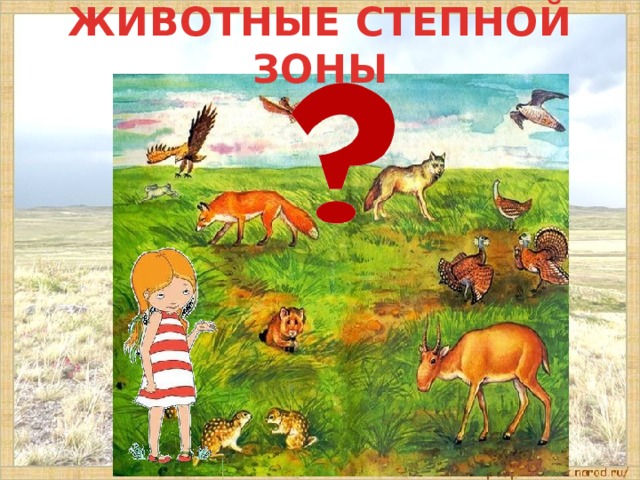 ЖИВОТНЫЕ СТЕПНОЙ ЗОНЫ 