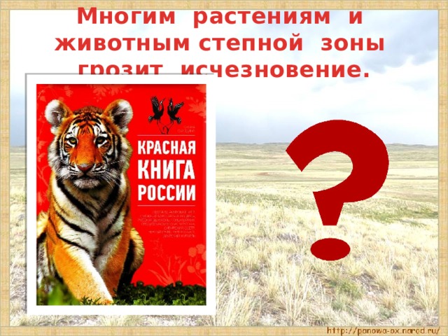 Многим растениям и животным степной зоны грозит исчезновение. 
