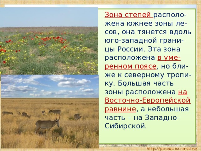  Зона степей располо-жена южнее зоны ле-сов, она тянется вдоль юго-западной грани-цы России. Эта зона расположена в уме-ренном поясе , но бли-же к северному тропи-ку. Большая часть зоны расположена на Восточно-Европейской равнине , а небольшая часть – на Западно-Сибирской . ʹ  
