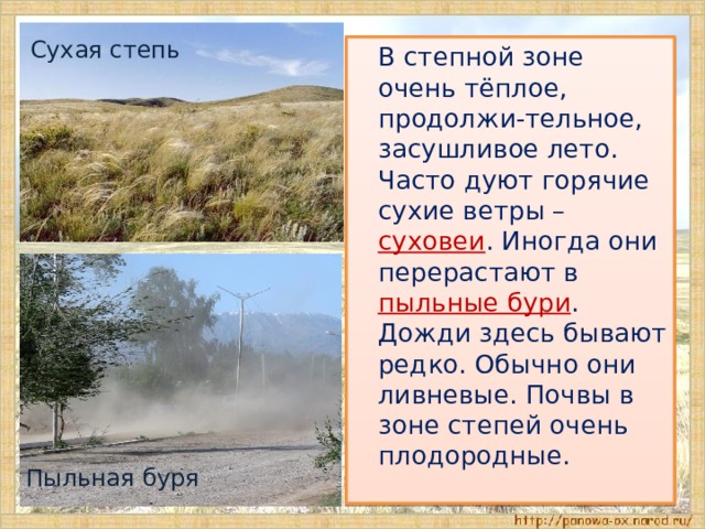 Сухая степь  В степной зоне очень тёплое, продолжи-тельное, засушливое лето. Часто дуют горячие сухие ветры – суховеи . Иногда они перерастают в пыльные бури . Дожди здесь бывают редко. Обычно они ливневые. Почвы в зоне степей очень плодородные. Пыльная буря 