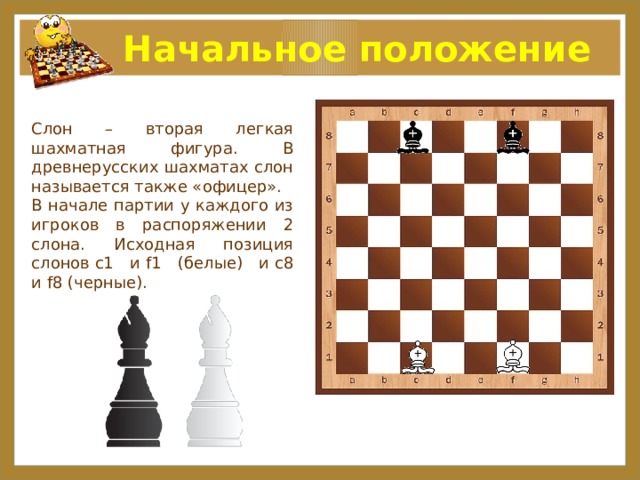  Начальное положение Слон – вторая легкая шахматная фигура. В древнерусских шахматах слон называется также «офицер». В начале партии у каждого из игроков в распоряжении 2 слона. Исходная позиция слонов c1 и f1 (белые) и c8 и f8 (черные).  
