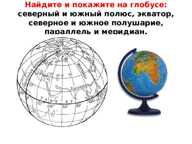 Найдите и покажите на глобусе: северный и южный полюс, экватор, северное и южное полушарие, параллель и меридиан. 