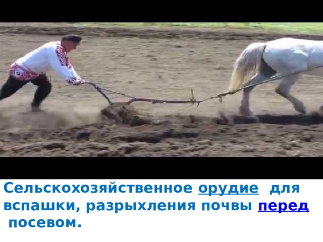 Сельскохозяйственное  орудие   для вспашки, разрыхления почвы  перед  посевом.   
