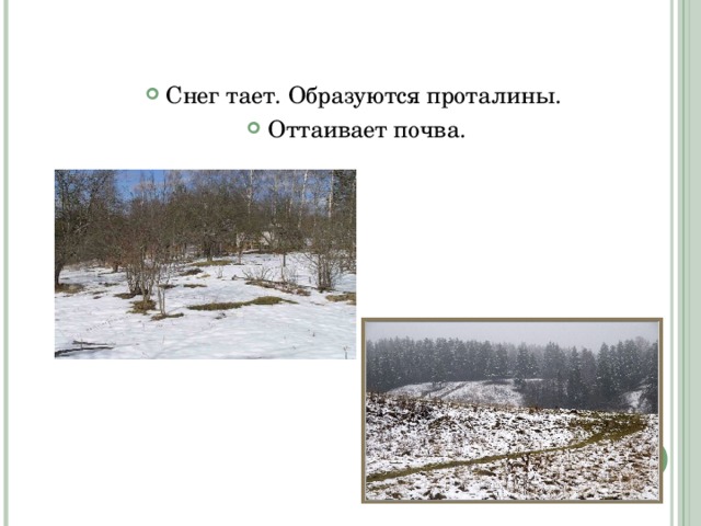 Снег тает. Образуются проталины. Оттаивает почва. 