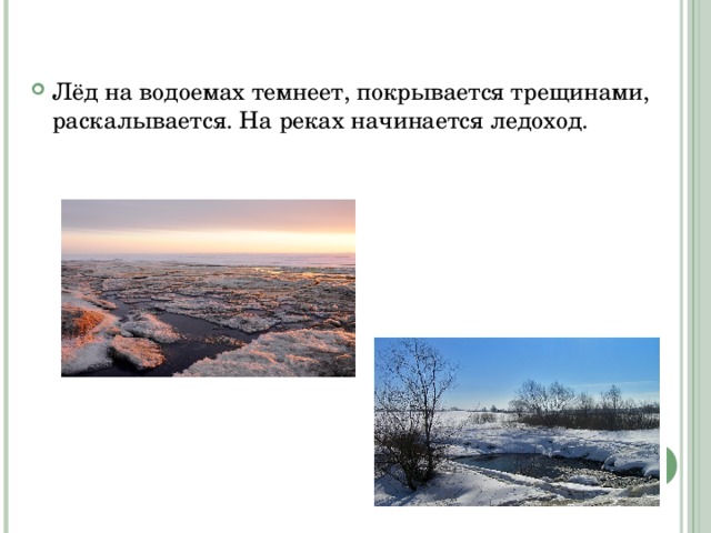 Лёд на водоемах темнеет, покрывается трещинами, раскалывается. На реках начинается ледоход. 