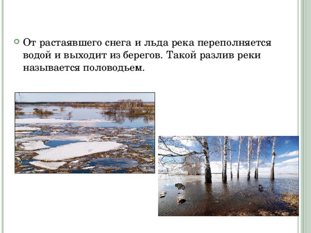От растаявшего снега и льда река переполняется водой и выходит из берегов. Такой разлив реки называется половодьем. 