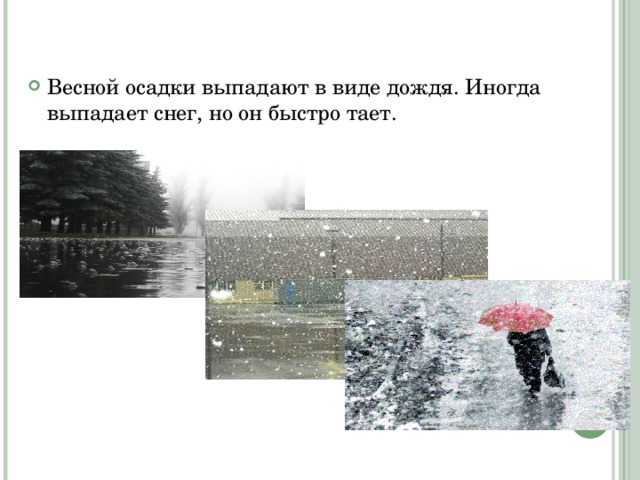 Весной осадки выпадают в виде дождя. Иногда выпадает снег, но он быстро тает. 