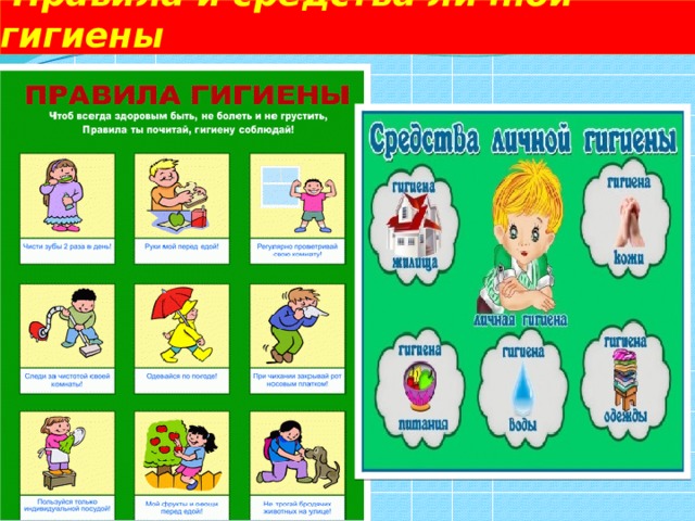  Правила и средства личной гигиены 