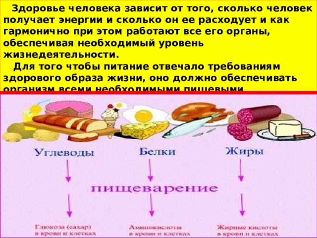  Здоровье человека зависит от того, сколько человек получает энергии и сколько он ее расходует и как гармонично при этом работают все его органы, обеспечивая необходимый уровень жизнедеятельности.  Для того чтобы питание отвечало требованиям здорового образа жизни, оно должно обеспечивать организм всеми необходимыми пищевыми элементами в необходимом количестве и нужном сочетании. 