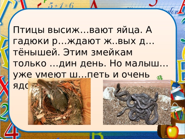 Птицы высиж…вают яйца. А гадюки р…ждают ж..вых д…тёнышей. Этим змейкам только …дин день. Но малыш… уже умеют ш…петь и очень ядовиты! 