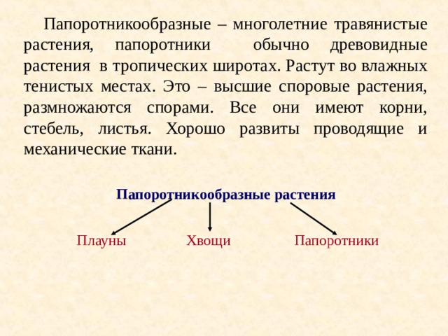  Папоротникообразные – многолетние травянистые растения, папоротники обычно древовидные растения в тропических широтах. Растут во влажных тенистых местах. Это – высшие споровые растения, размножаются спорами. Все они имеют корни, стебель, листья. Хорошо развиты проводящие и механические ткани.  Папоротникообразные растения  Плауны    Хвощи  Папоротники 
