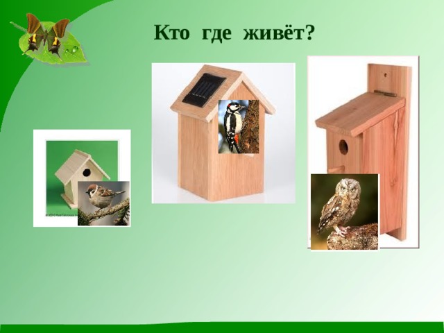 Кто где живёт? 