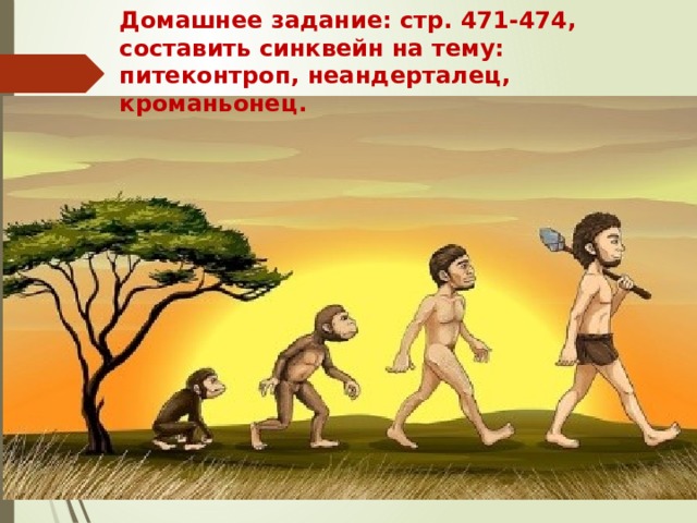 Домашнее задание: стр. 471-474,  составить синквейн на тему: питеконтроп, неандерталец, кроманьонец.   