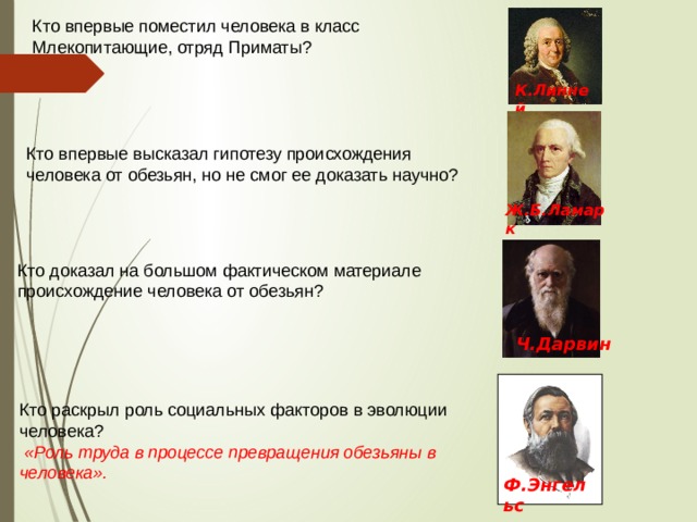 К.Линней Ф.Энгельс Кто впервые поместил человека в класс Млекопитающие, отряд Приматы? Кто впервые высказал гипотезу происхождения человека от обезьян, но не смог ее доказать научно? Ж.Б.Ламарк  Кто доказал на большом фактическом материале происхождение человека от обезьян?  Ч.Дарвин Кто раскрыл роль социальных факторов в эволюции человека?  «Роль труда в процессе превращения обезьяны в человека». 5 