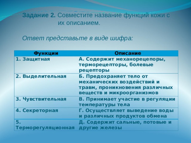 Задание 2. Совместите название функций кожи с  их описанием. Ответ представьте в виде шифра: Функции Описание 1. Защитная А. Содержит механорецепоры, терморецепторы, болевые рецепторы 2. Выделительная Б. Предохраняет тело от механических воздействий и травм, проникновения различных веществ и микроорганизмов 3. Чувствительная В. Принимает участие в регуляции температуры тела 4. Секреторная Г. Осуществляет выведение воды и различных продуктов обмена 5. Терморегуляционная Д. Содержит сальные, потовые и другие железы 
