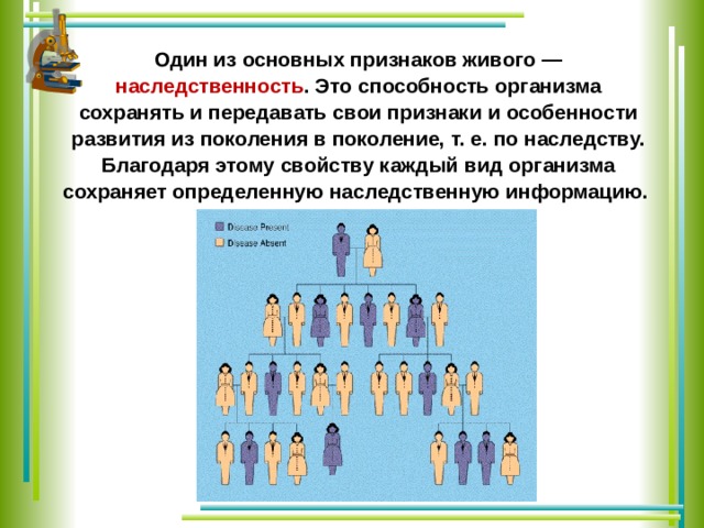 Один из основных признаков живого — наследственность . Это способность организма сохранять и передавать свои признаки и особенности развития из поколения в поколение, т. е. по наследству. Благодаря этому свойству каждый вид организма сохраняет определенную наследственную информацию. 