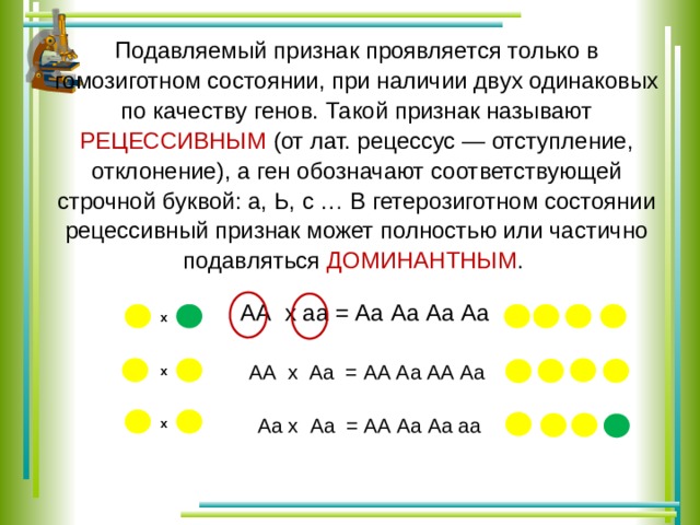 Подавляемый признак проявляется только в гомозиготном состоянии, при наличии двух одинаковых по качеству генов. Такой признак называют РЕЦЕССИВНЫМ (от лат. рецессус — отступление, отклонение), а ген обозначают соответствующей строчной буквой: а, Ь, с … В гетерозиготном состоянии рецессивный признак может полностью или частично подавляться ДОМИНАНТНЫМ . АА х аа = Аа Аа Аа Аа х АА х Аа = АА Аа АА Аа х Аа х Аа = АА Аа Аа аа х 