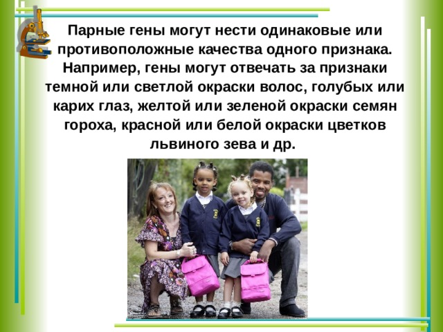 Парные гены могут нести одинаковые или противоположные качества одного признака. Например, гены могут отвечать за признаки темной или светлой окраски волос, голубых или карих глаз, желтой или зеленой окраски семян гороха, красной или белой окраски цветков львиного зева и др. 