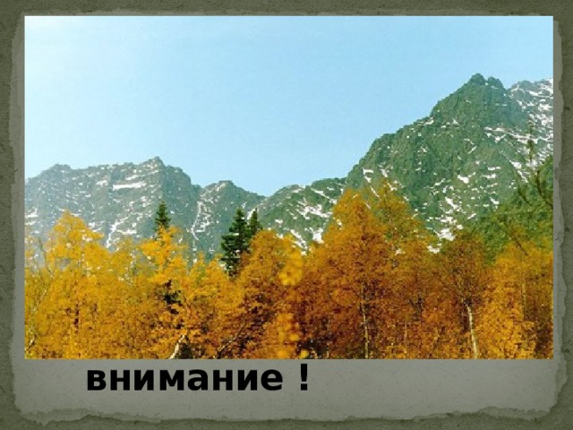 Спасибо за внимание ! 