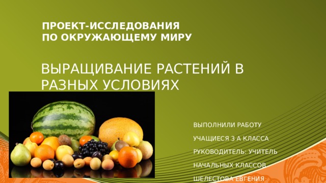 ПРОЕКТ-ИССЛЕДОВАНИЯ  ПО ОКРУЖАЮЩЕМУ МИРУ ВЫРАЩИВАНИЕ РАСТЕНИЙ В РАЗНЫХ УСЛОВИЯХ  Выполнили работу  учащиеся 3 А класса  руководитель: учитель  начальных классов  Шелестова Евгения Юрьевна 