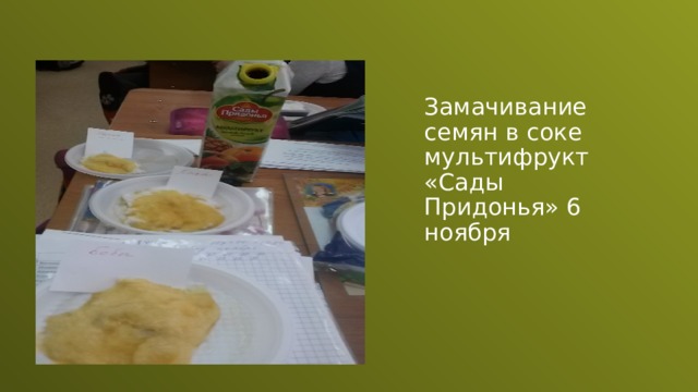 Замачивание семян в соке мультифрукт «Сады Придонья» 6 ноября 