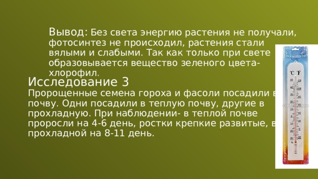 Вывод:  Без света энергию растения не получали, фотосинтез не происходил, растения стали вялыми и слабыми. Так как только при свете образовывается вещество зеленого цвета- хлорофил . Исследование 3 Пророщенные семена гороха и фасоли посадили в почву. Одни посадили в теплую почву, другие в прохладную. При наблюдении- в теплой почве проросли на 4-6 день, ростки крепкие развитые, в прохладной на 8-11 день. 