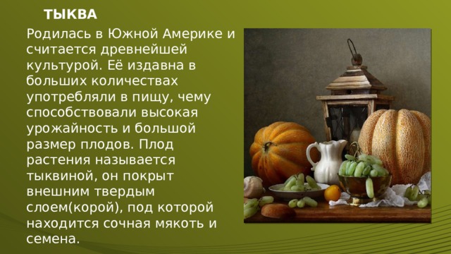 ТЫКВА Родилась в Южной Америке и считается древнейшей культурой. Её издавна в больших количествах употребляли в пищу, чему способствовали высокая урожайность и большой размер плодов. Плод растения называется тыквиной, он покрыт внешним твердым слоем(корой), под которой находится сочная мякоть и семена. Вопрос, чем считать тыквину-ягодой, фруктом, овощем, пока открыт. 