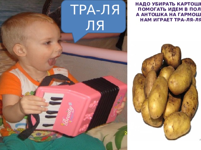 Надо убирать картошку. ТРА-ЛЯ ЛЯ Помогать идем в поля. А Антошка на гармошке Нам играет ТРА-ЛЯ-ЛЯ. 