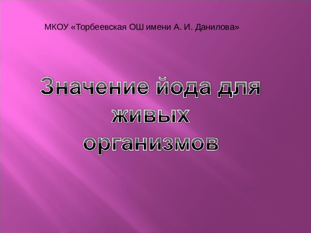 МКОУ «Торбеевская ОШ имени А. И. Данилова» 