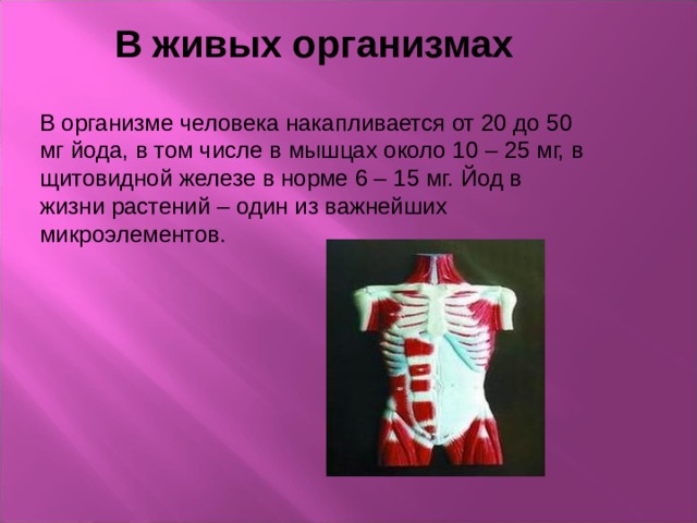 В живых организмах В организме человека накапливается от 20 до 50 мг йода, в том числе в мышцах около 10 – 25 мг, в щитовидной железе в норме 6 – 15 мг. Йод в жизни растений – один из важнейших микроэлементов. 