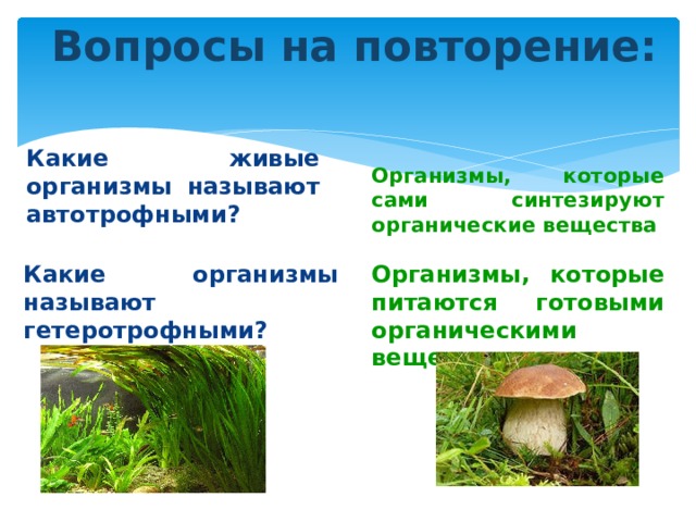 Вопросы на повторение: Какие живые организмы называют автотрофными? Организмы, которые сами синтезируют органические вещества Какие организмы называют гетеротрофными? Организмы, которые питаются готовыми органическими веществами 