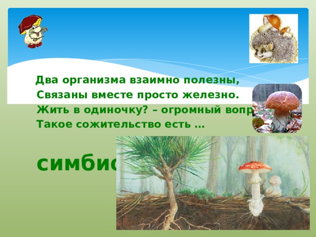   Два организма взаимно полезны,  Связаны вместе просто железно.  Жить в одиночку? – огромный вопрос.  Такое сожительство есть …   симбиоз 