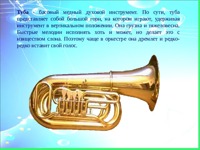 Туба - басовый медный духовой инструмент. По сути, туба представляет собой большой горн, на котором играют, удерживая инструмент в вертикальном положении. Она грузна и тяжеловесна. Быстрые мелодии исполнять хоть и может, но делает это с изяществом слона. Поэтому чаще в оркестре она дремлет и редко-редко вставит свой голос. 